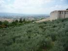Assisi_9a