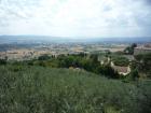 Assisi (84)